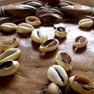 Jogo de búzios como funciona?