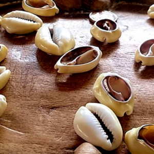 Previsão dos búzios Para Saúde e Trabalho Para Você