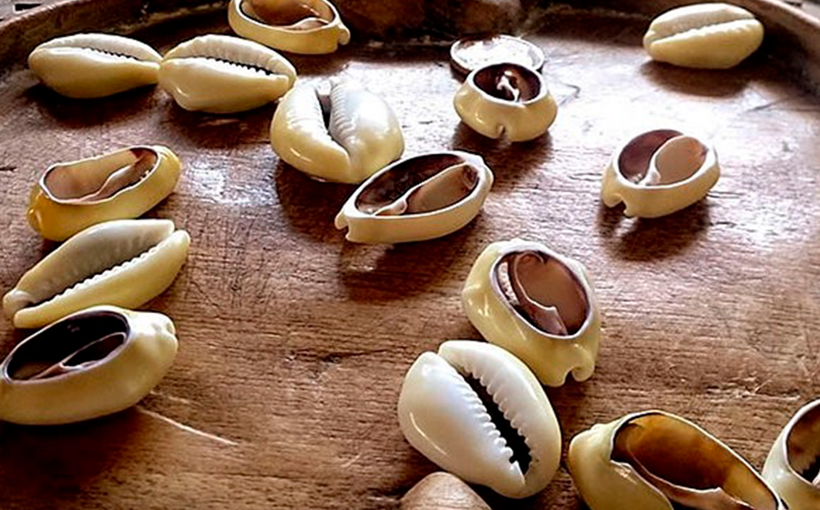 previsão dos búzios para saúde e trabalho